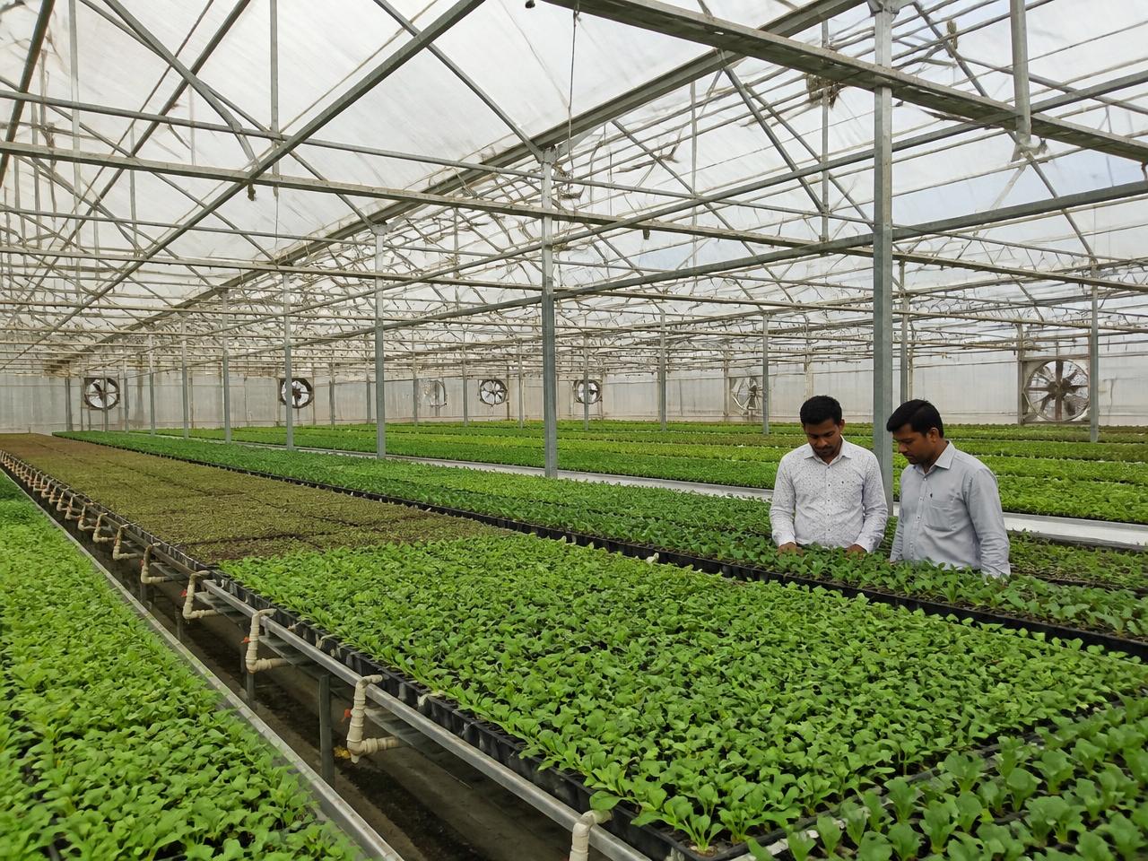 Climate-Controlled Greenhouse Complex — project completed by Green Axis
