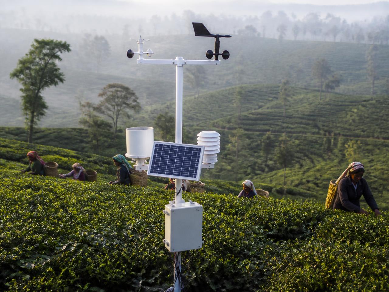 Smart Weather Monitoring Network — project completed by Green Axis